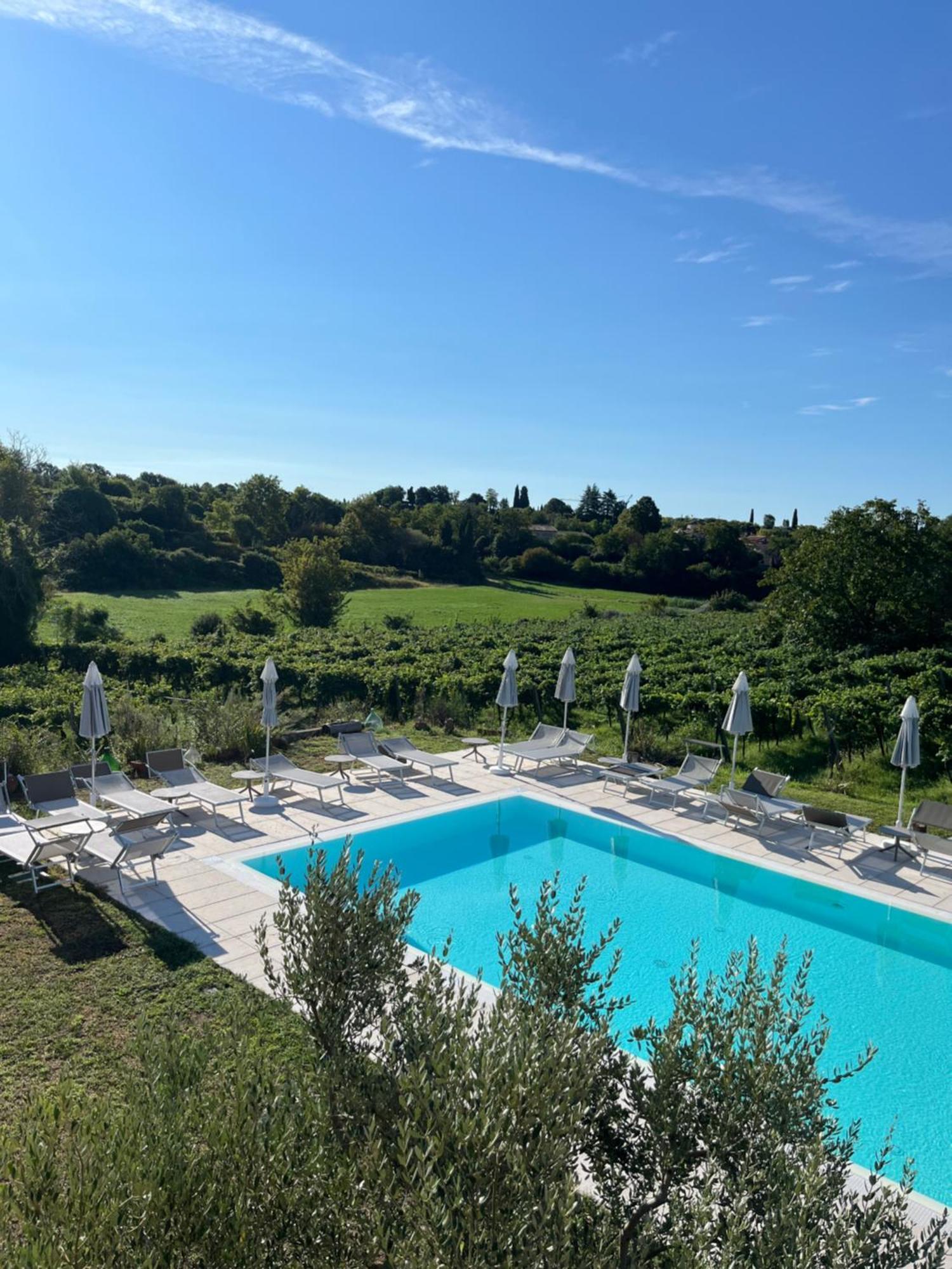 Agriturismo Al Dugale Лацизе Экстерьер фото